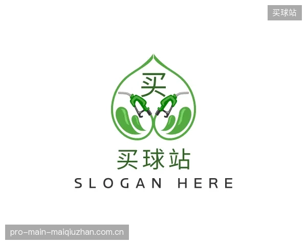 关于买球站团队